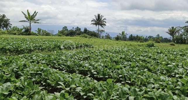 Tanah Murah View 2 Gunung Salak dan Gede Pangrango, Cidahu Sukabumi