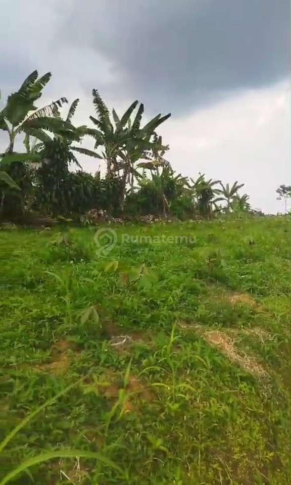 Dijual Tanah Murah dibawah 100Ribu Parakan Salak Sukabumi