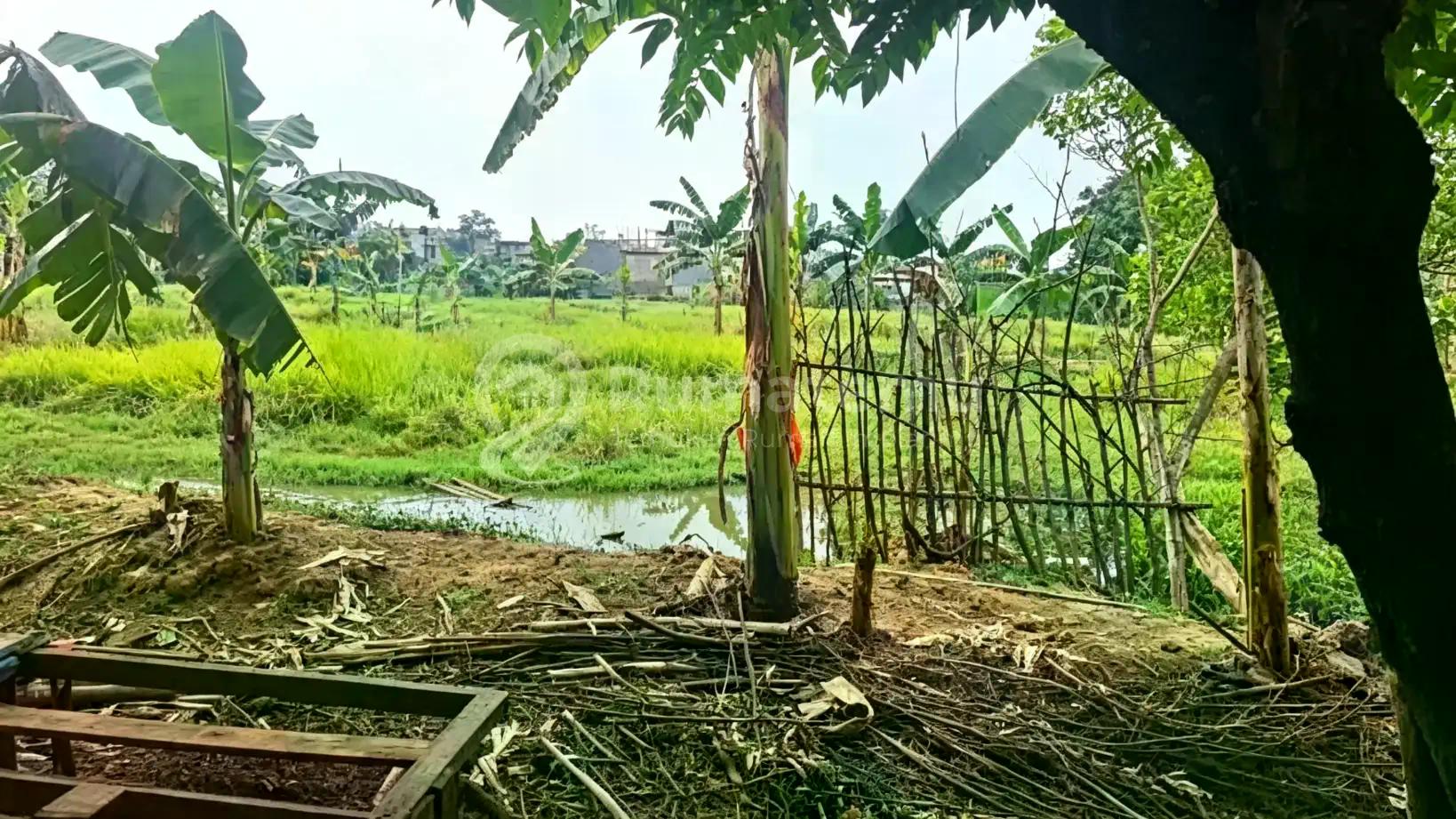 Jual Tanah Murah Narogong Cileungsi Jawa Barat