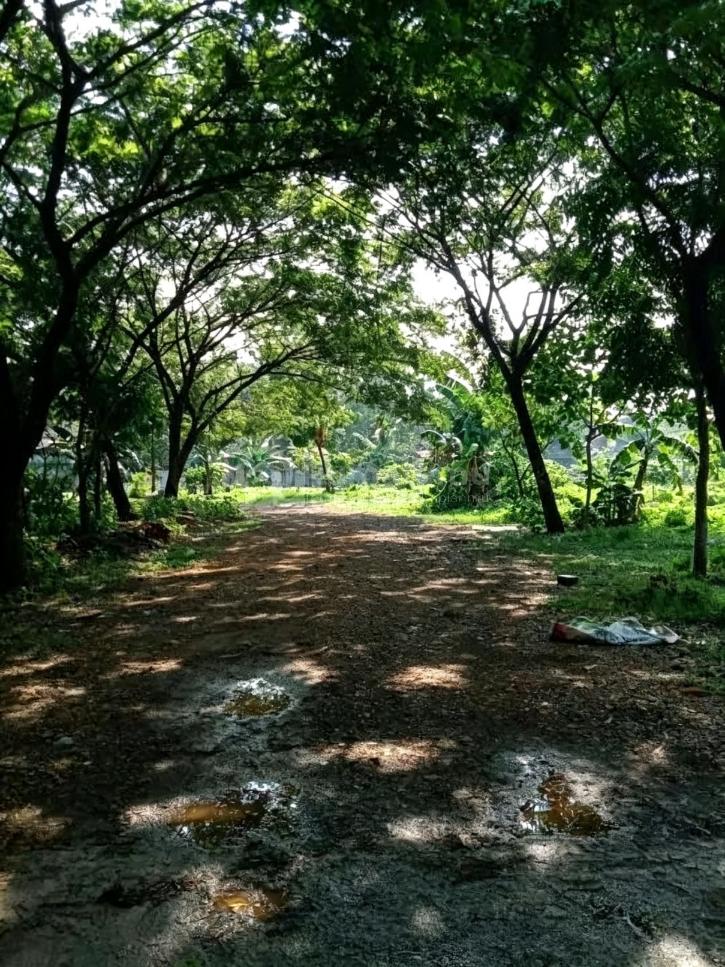 Di Jual Tanah di Cikunir Bekasi
