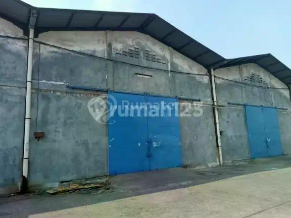 Disewakan Gudang Tegal Alur Kapuk Kamal Jakbar