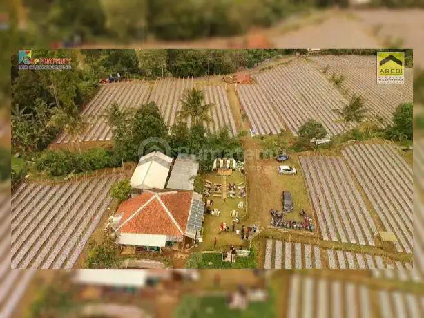 Tanah Dijual 1,6 Ha strategis di Desa Wanayasa Purwakarta