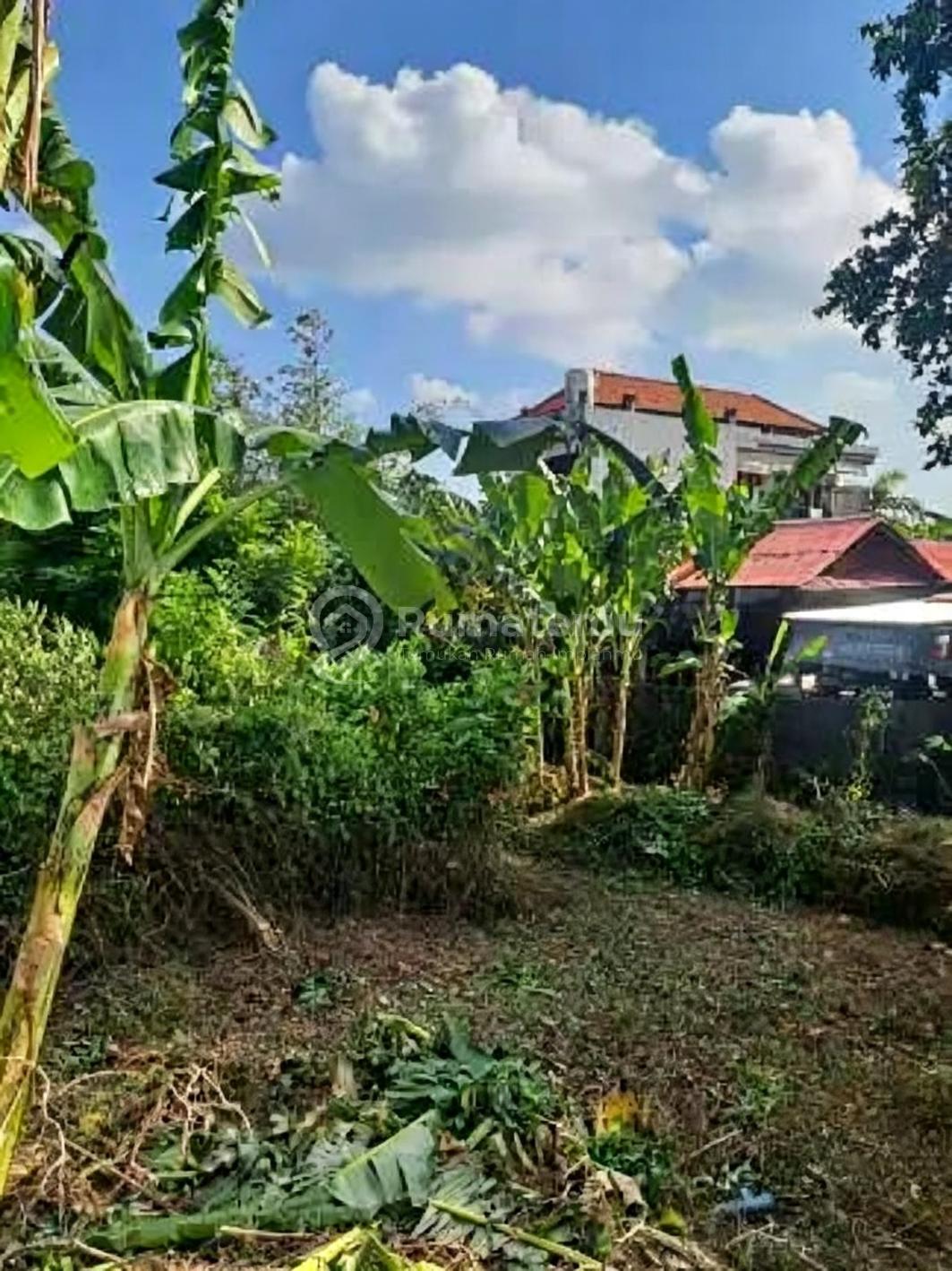 L-1031 Rare Opportunity In Seminyak