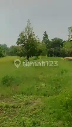 Raya Serang-Balaraja[Tanah] : 3,9Ha-Akses Container