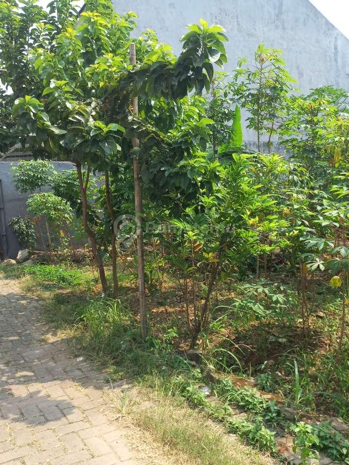 Dijual Tanah kavling Matang Siap Bangun Strategis Belakang Kampus UI Depok 