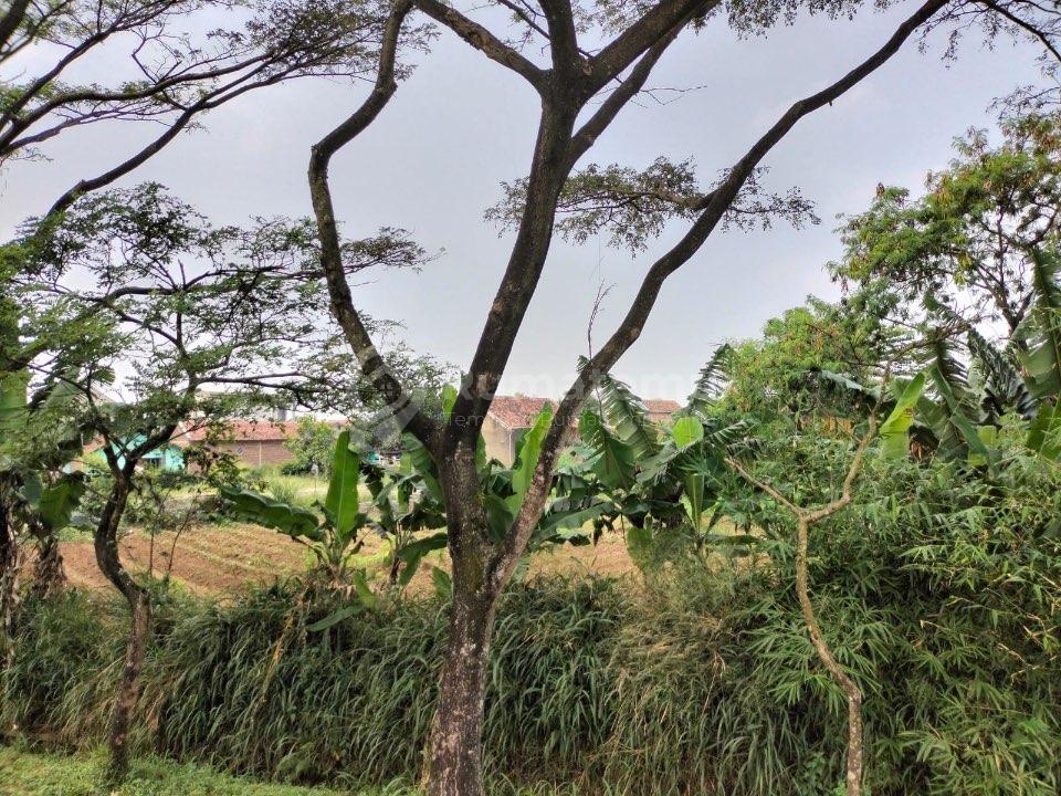 Dijual Tanah Ciodeng – Bojongmalaka, Baleendah