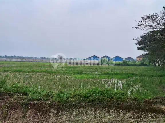 Tanah Industri Serang Banten 2 Kilometer Dari Pintu Tol