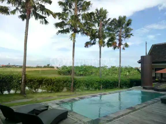 Ready For Sale Villa Cantik Luas Siap Hasilkan Cuan di Canggu Bali