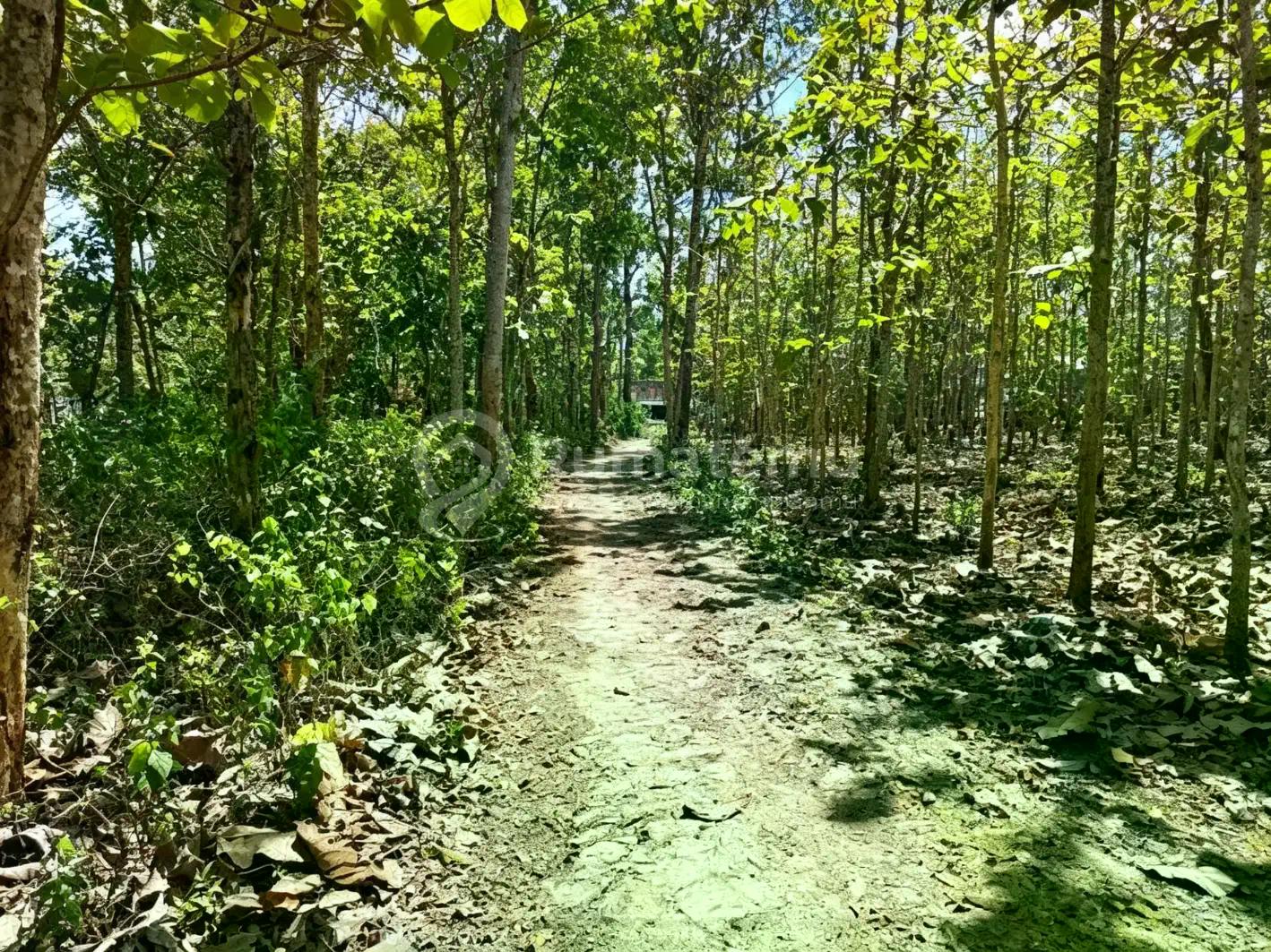 Tanah Dijual Dekat Pasar Playen Gunung Kidul Yogya, Lt 5143m2