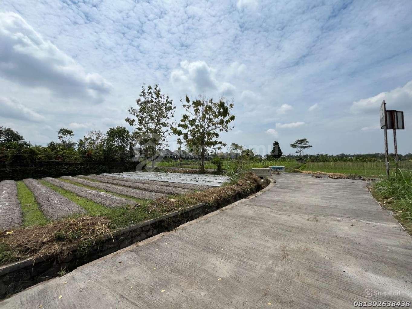 Hunian Asri Tanah Jogja Ngaglik View Sawah Jalan Utama Aspal
