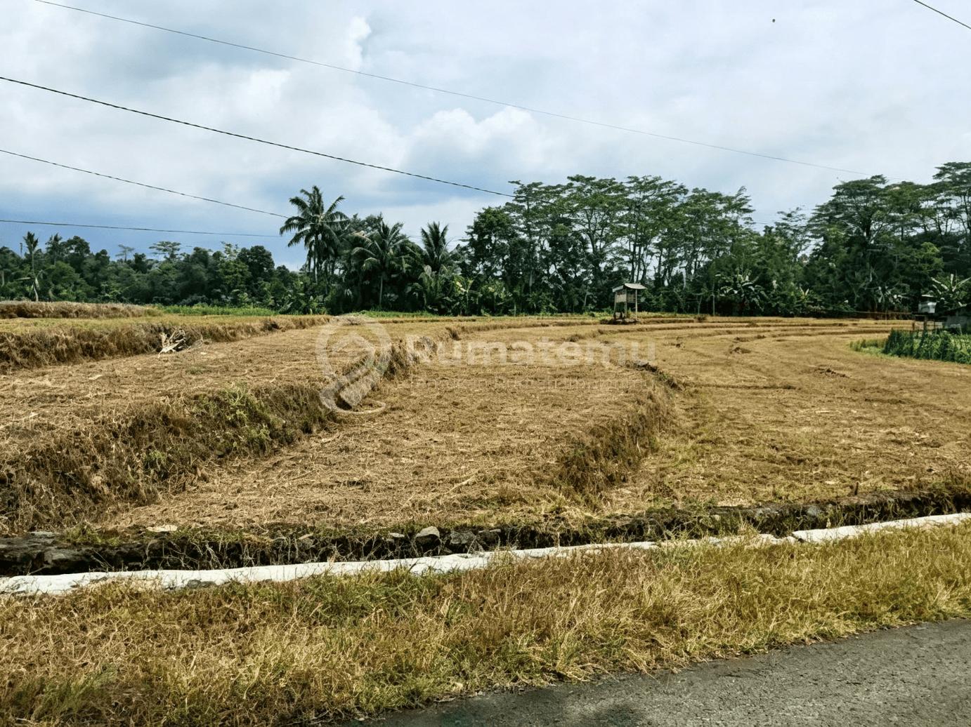 Dijual Tanah Luas, Murah,Cocok untuk Investasi atau Kandang