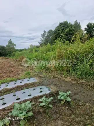 Tanah Super Strategis Bentuk Trapesium,20 Menit ke Bandara Silangit
