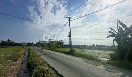 Premium Land Ready For Sale In Nyanyi
