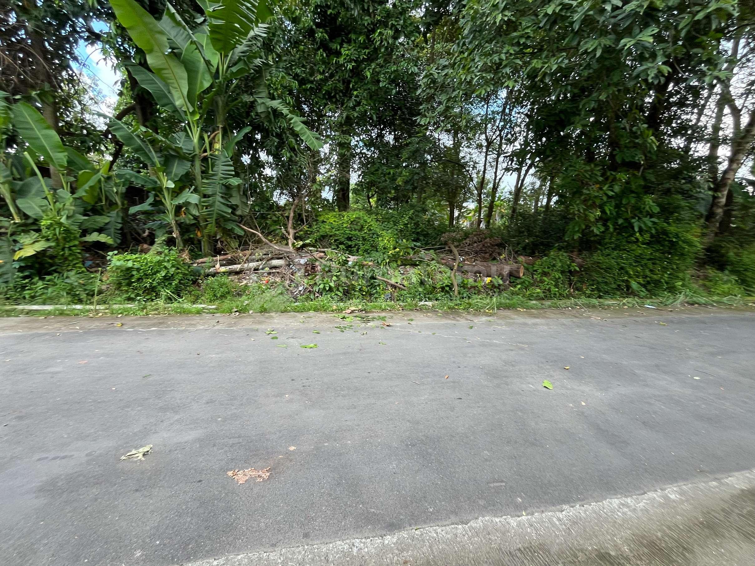 1.  10 Menit Prambanan! Tanah SHM Kalasan Sleman – Dekat Tol Solo–Jogja & Bandara Adisutjipto Yogyakarta