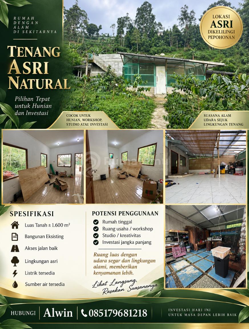 LEMBANG — Hidden Gem di Tengah Kebun Kopi, Mini Pine Forest Pribadi