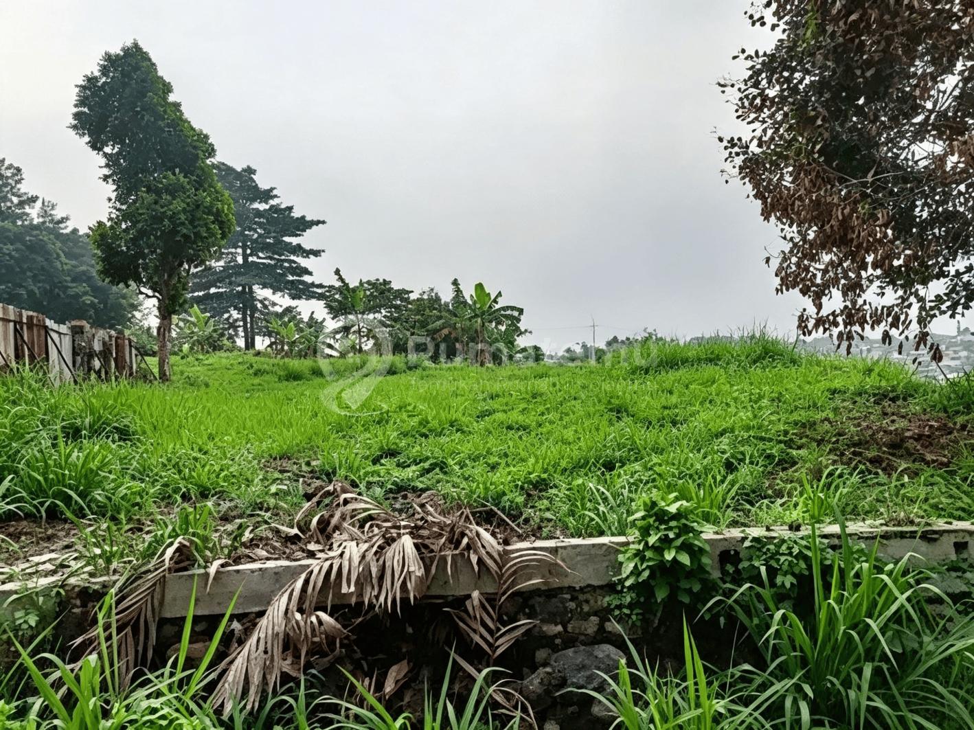 Dijual Tanah di Jl Sambu Bogor 5600 M2 Dekat Raya Pajajaran Bogor