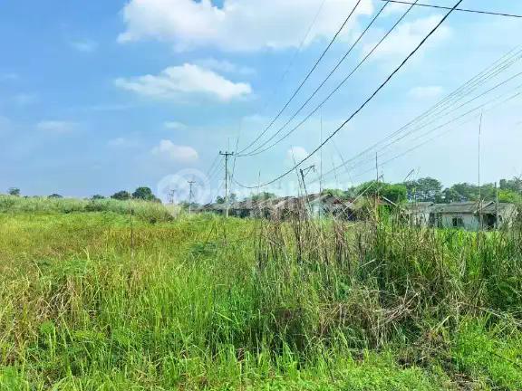 Tanah Murah Cileungsi Jauh Dibawah NJOP