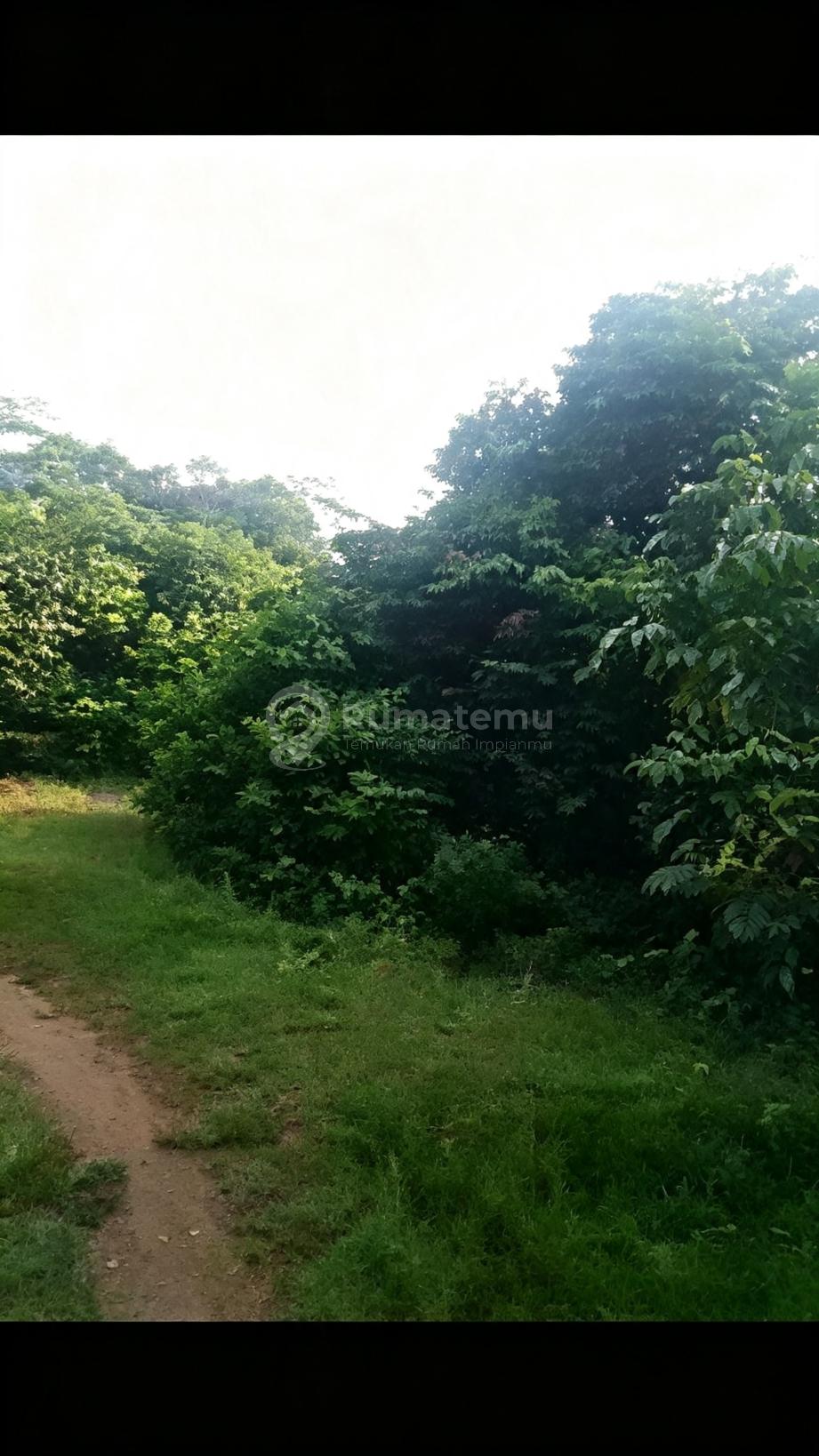 Subang Kawasn Industri : 200Ha Perluasan 300Ha-Dekat Exit Tol 5Km