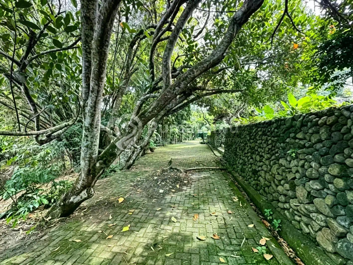 L-1121 Green Oasis In Padonan - 18.5 Are Near Canggu Hotspots