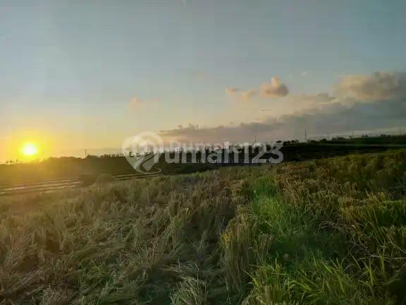 Lahan Premium Loss Pantai di Kelating Tabanan Bali