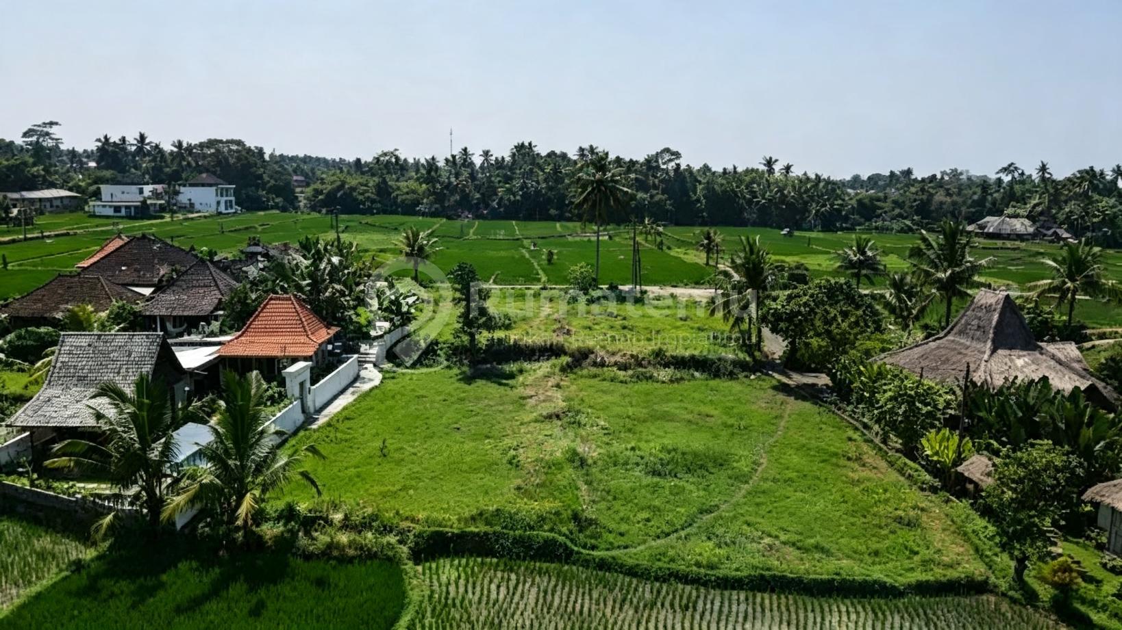 Termurah, Tanah Kavling di Ubud Bali