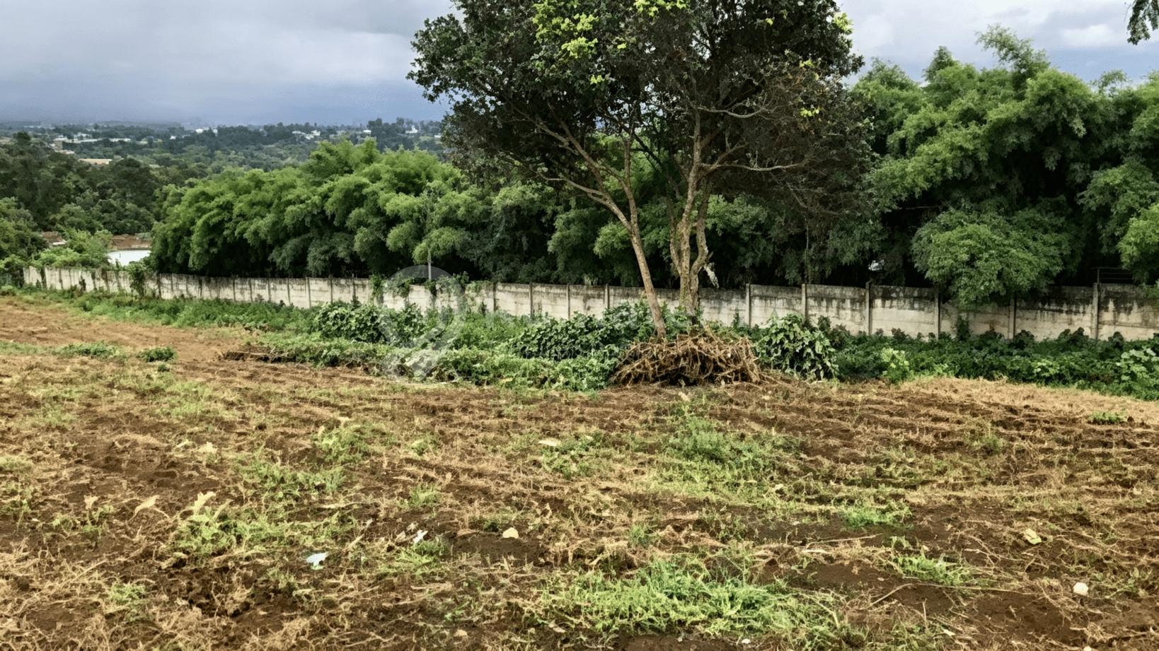 Parung Kuda [Tanah]: View Gunung Salak-Dekat Tol Bocimi-1 Ha