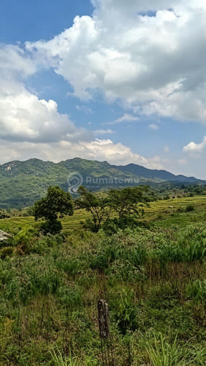 Dijual tanah di Pabuaran kec Sukamakmur bogor
