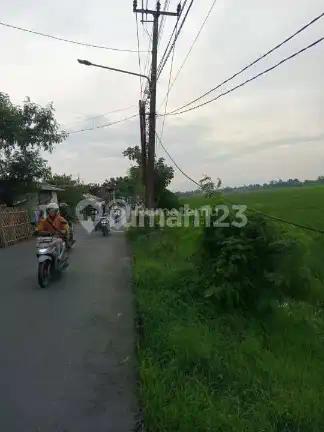 Cikarang Timur Bekasi [Tanah]:Luas 100-300Ha-Struktur Sawah Padat