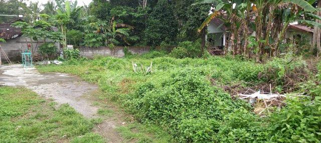 Tanah Pekarangan Siap Bangun Lokasi Strategis Dekat Pemda Sleman