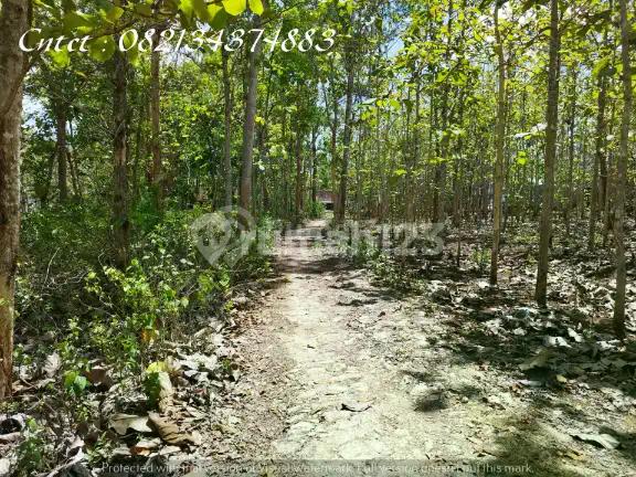Tanah Dijual Dekat Pasar Playen Gunung Kidul Yogya, Lt 5143m2