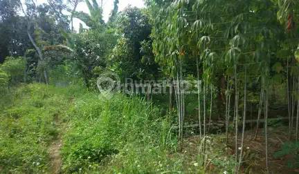 Tanah Dijual di Selatan Bsb City, Ngaliyan Semarang, Dekat Kopi Blirik