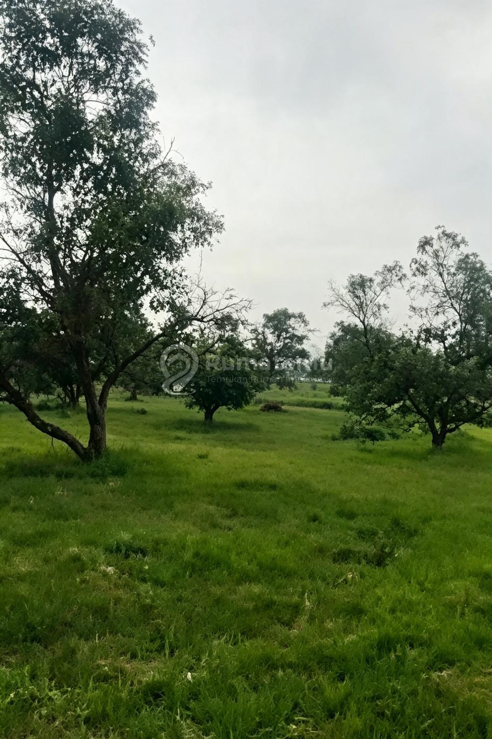 Raya Serang-Balaraja[Tanah] : 3,9Ha-Akses Container