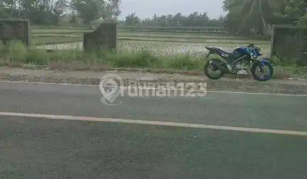 dijual cepat tanah murah cocok untuk hotel, cottage,tempat wisata , dll di Tanjung lesung
