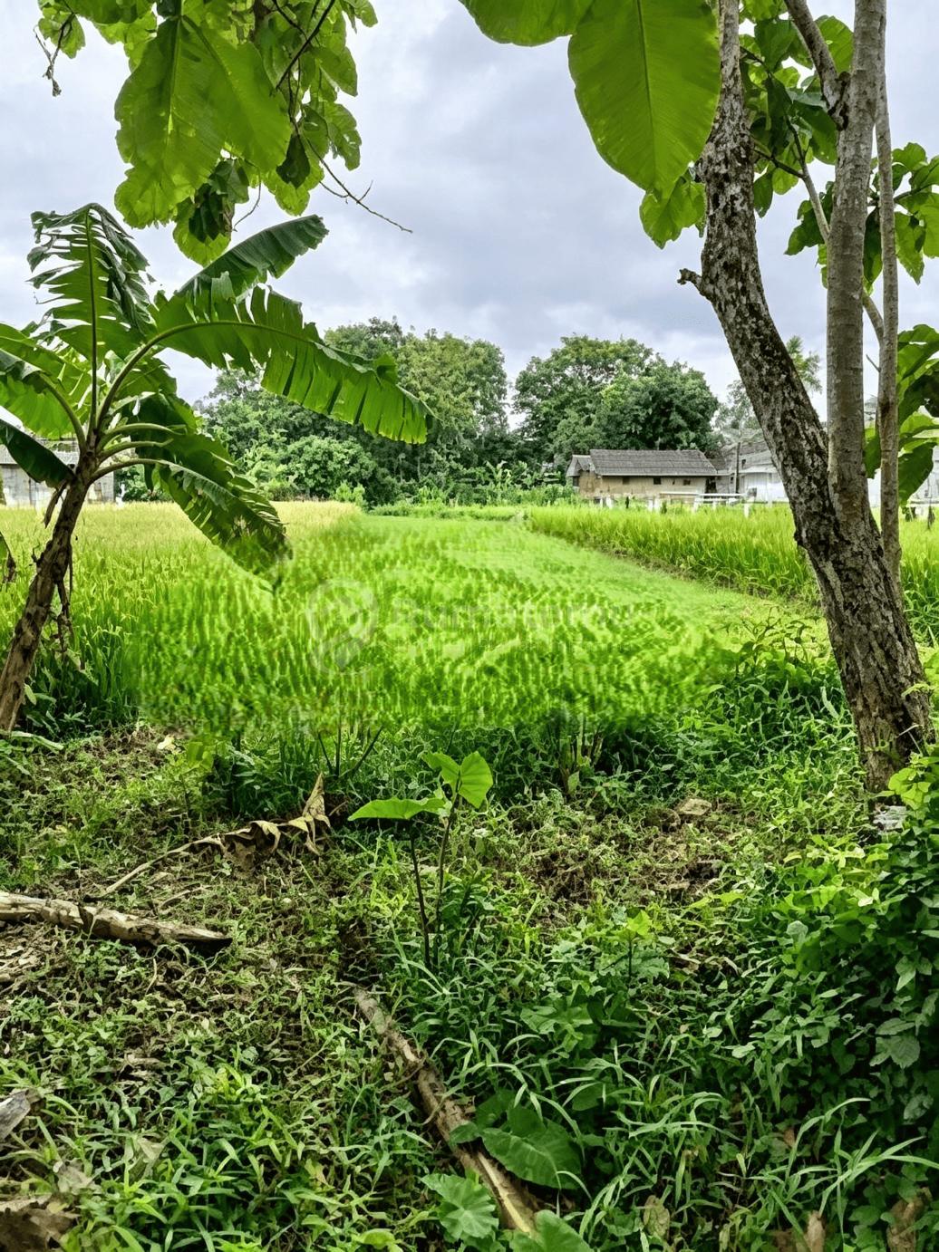 Tanah Dijual di Jl Bantul Dekat Pasar Bantul, Lt 744m2