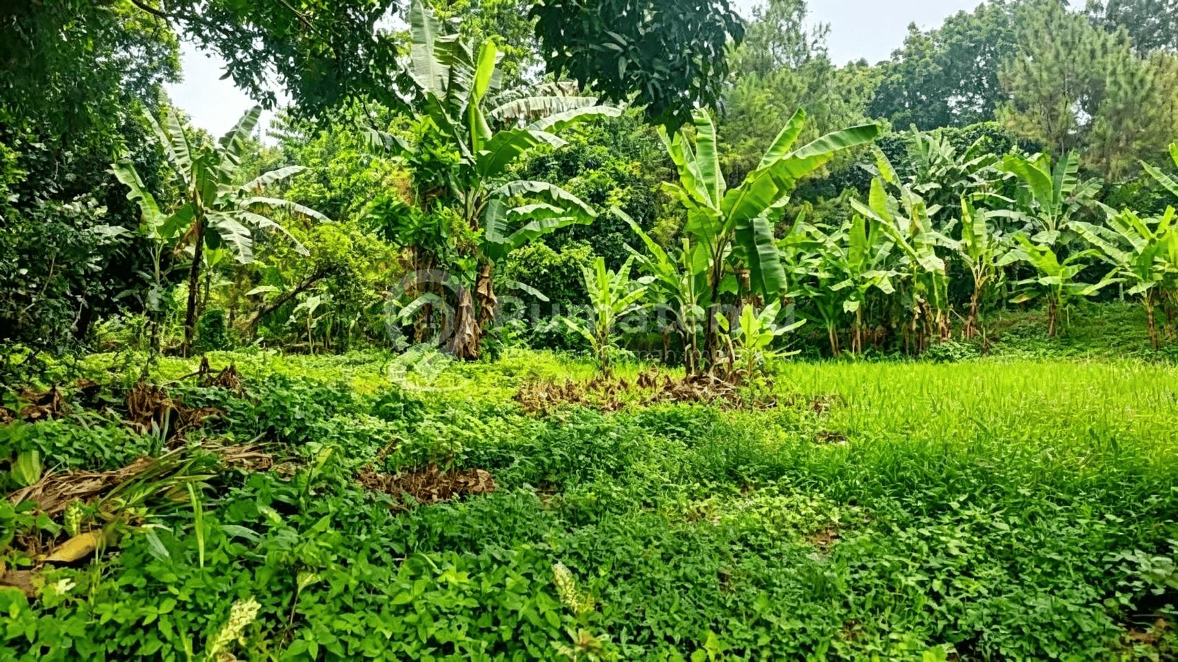 Dijual Kavling BSD City