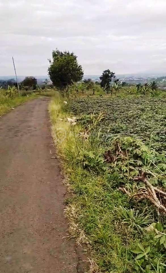 Dijual Tanah Murah View Gunung Salak Ciambar Sukabumi