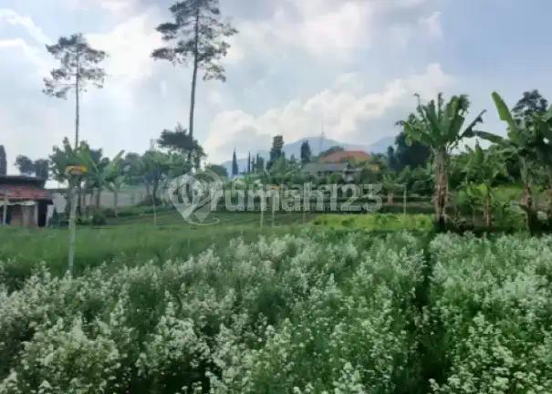 Tanah Murah Dibawah Harga NJOP di Jl.raya Kolonel Masturi Cisarua Lembang