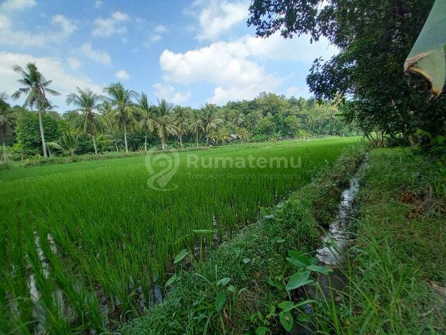 TANAH DIJUAL 