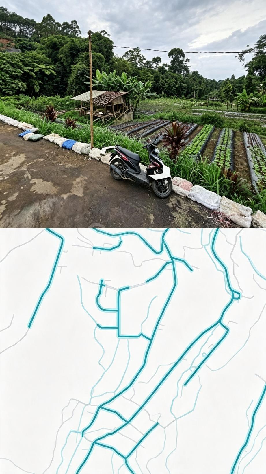 Tanah Lembang Bandung Bisa Utk Villa, Perkebunan 