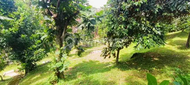 Dijual Tanah Siap Bangun Lokasi Cocok Utk Cafe Outdoor Hidden Gem di Jagakarsa Jakarta Selatan