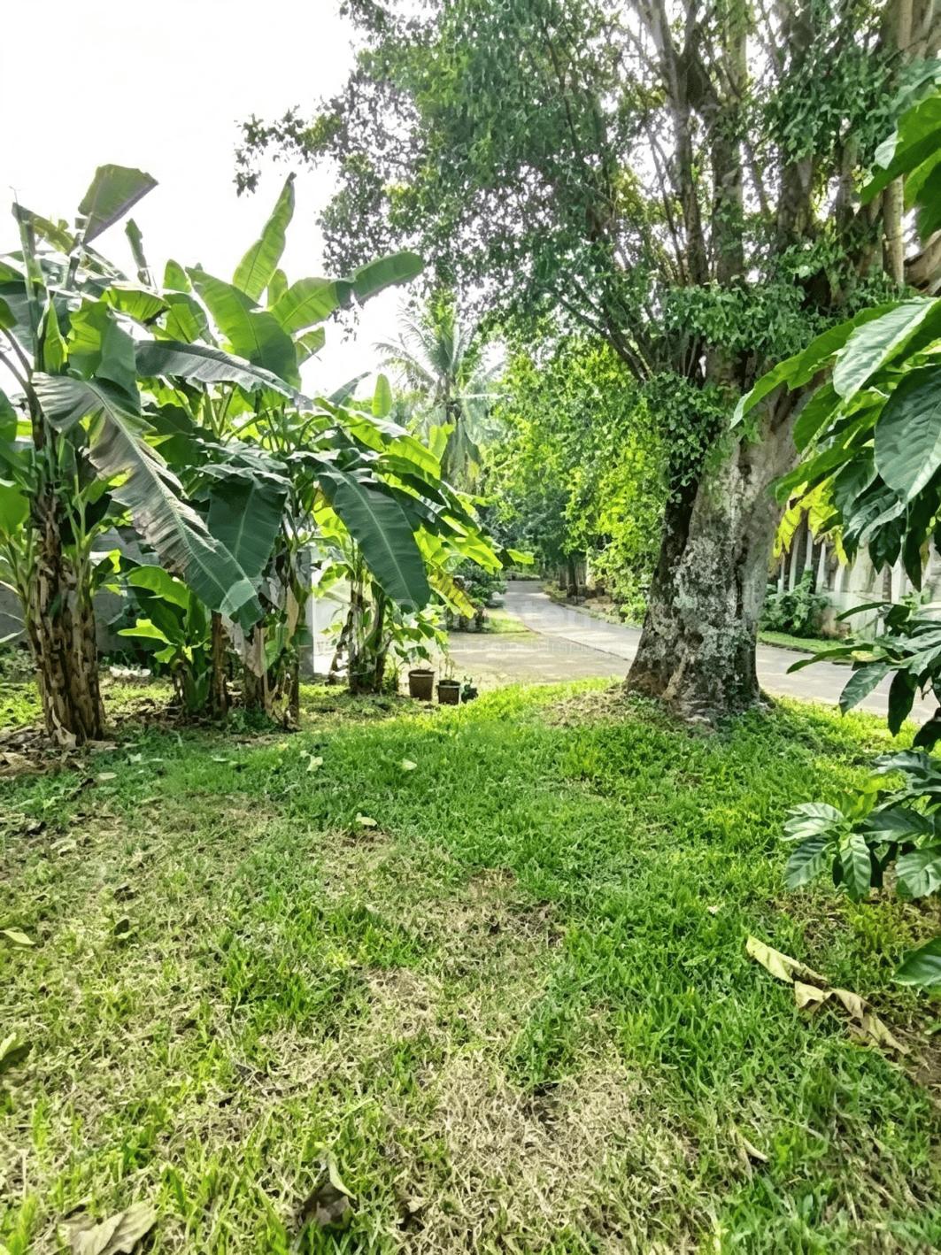 Kavling Langka Siap Bangun Tirta Golf Siap Nego