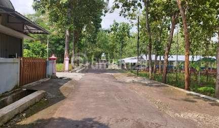Tanah Dijual di Karangrejek Dkt Pantai Baron, Wonosari, Gungungkidul, 400 Ribuan
