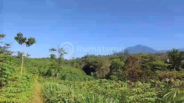 Dijual Tanah Murah dibawah Harga 100rb, Parung Kuda Sukabumi