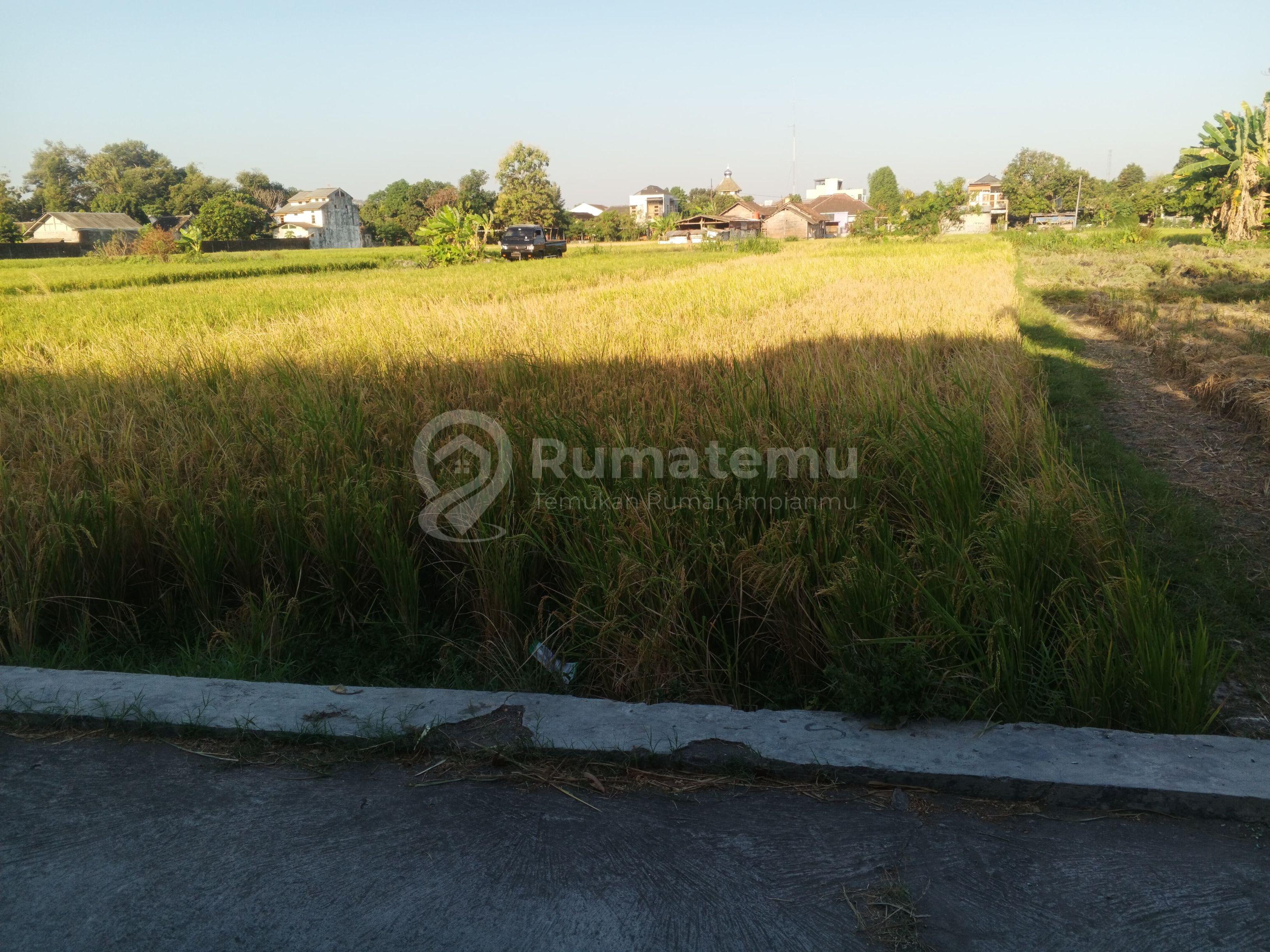 Dijual Tanah Pertanian Lokasi Strategis