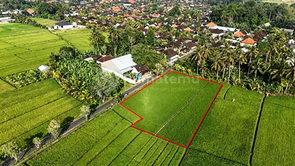 L-1168 Prime Leasehold Land With Endless Views In Kaba Kaba, Tabanan