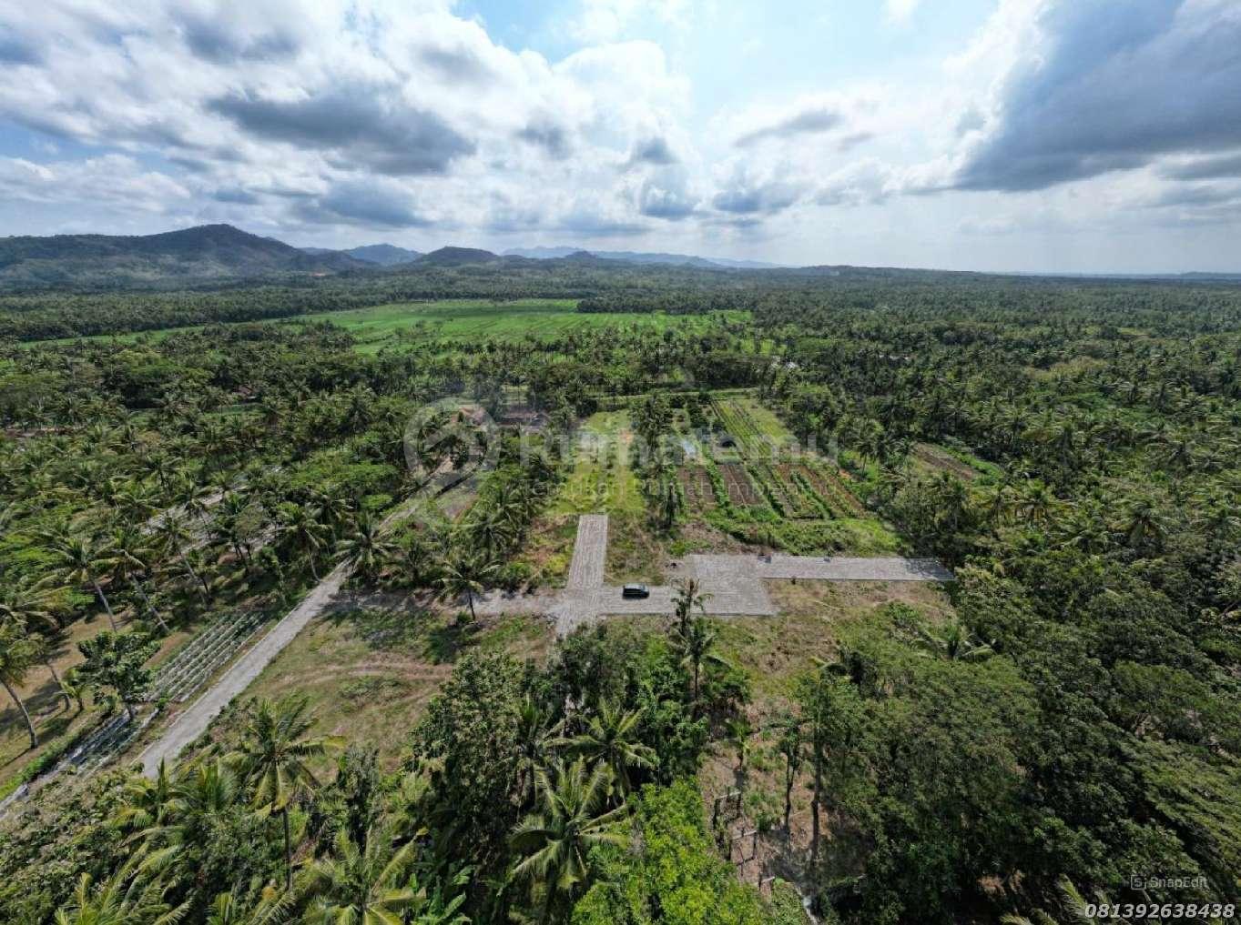 Dijual Tanah Murah Jogja Barat Dekat Bandara YIA Dan Jalan Provinsi Wates