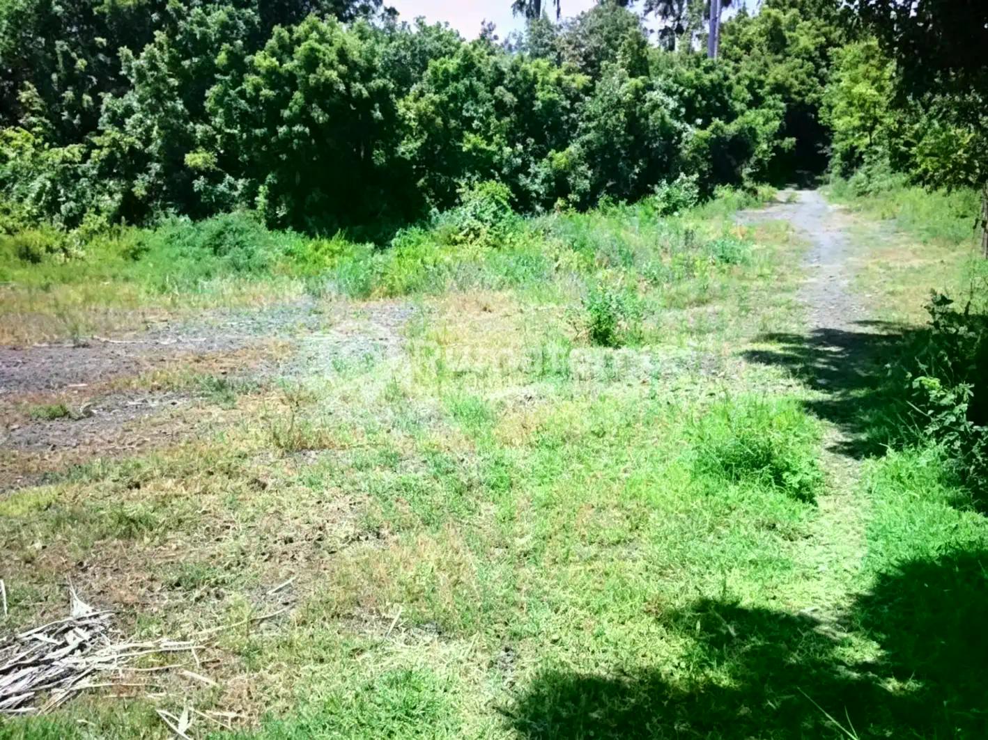Dijual Lahan Wisata Starategis Karengasem Bali