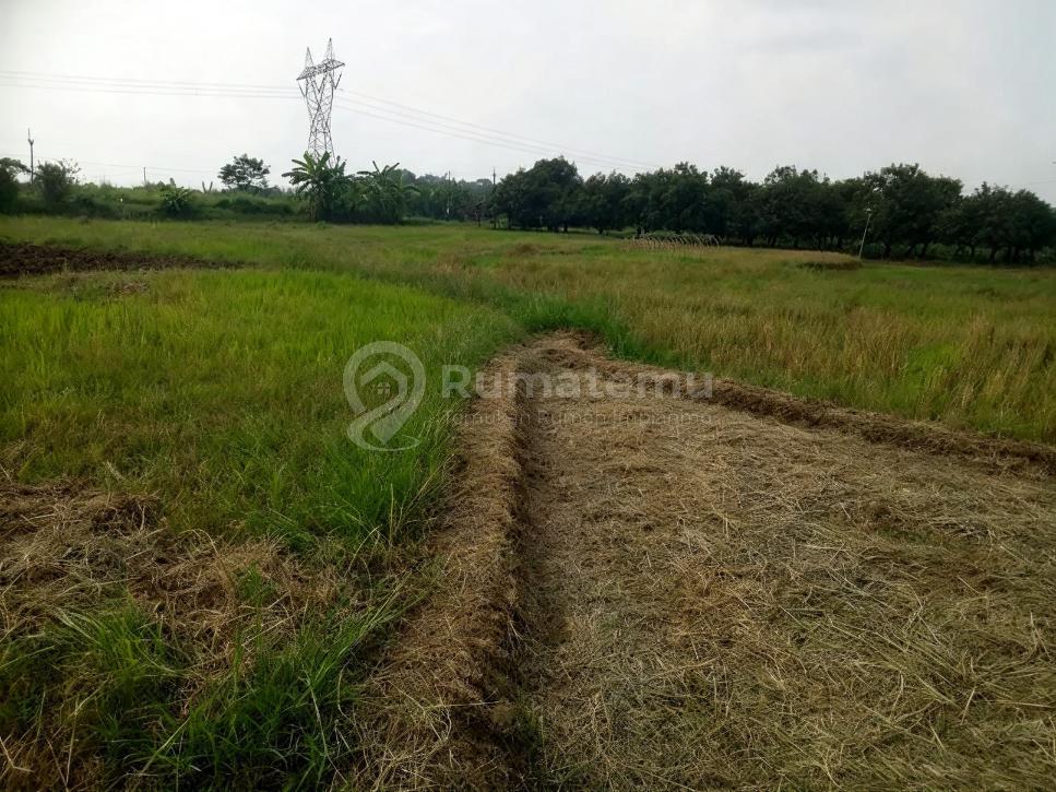 Dekat Akses Tol, Tanah, SHM, Dekat Sekolah Negeri, Bebas Banjir