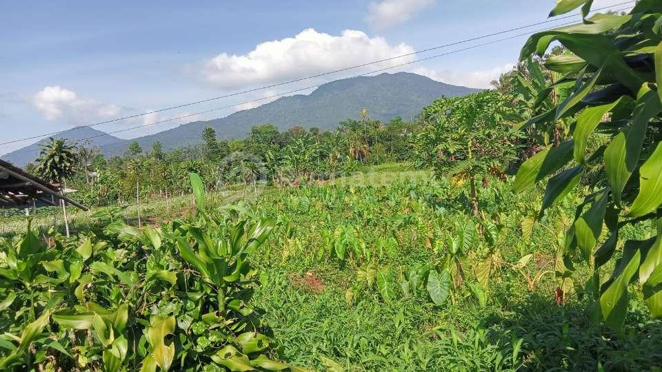Tanah Dijual Murah di Ciambar Sukabumi, View Gunung Salak