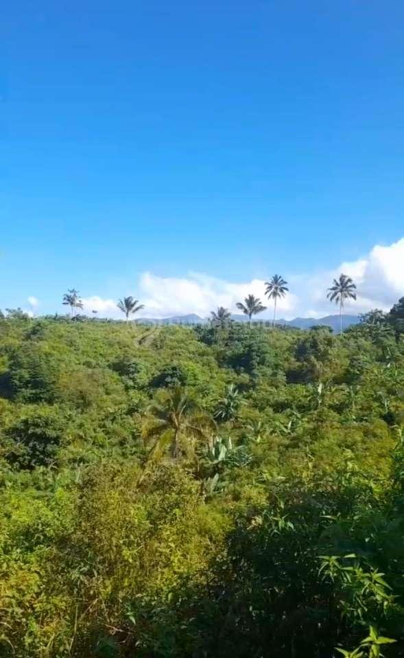 Tanah Cocok untuk Perumahan & Wisata Cikidang Sukabumi
